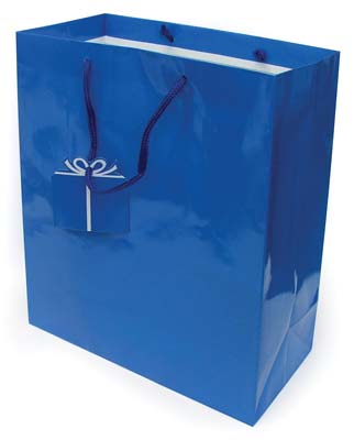 BIC 10 CT BLUE PEN CRISTAL XTRA SMOOTH MEDIUM