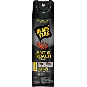 BLACK FLAG ANT & ROACH 17.5 OZ UNSCENTED