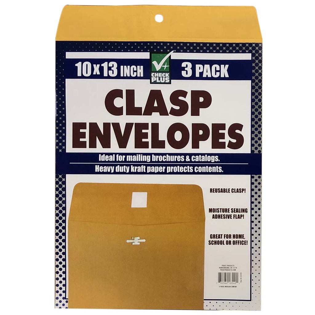 CHECK PLUS ENVELOPES 3 CT 10 X 13 CIN