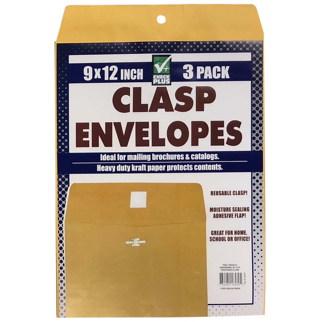 CHECK PLUS ENVELOPES 3 CT 9X12IN
