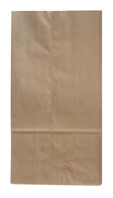 DAISY PAPER BAG 500 CT SIZE 2