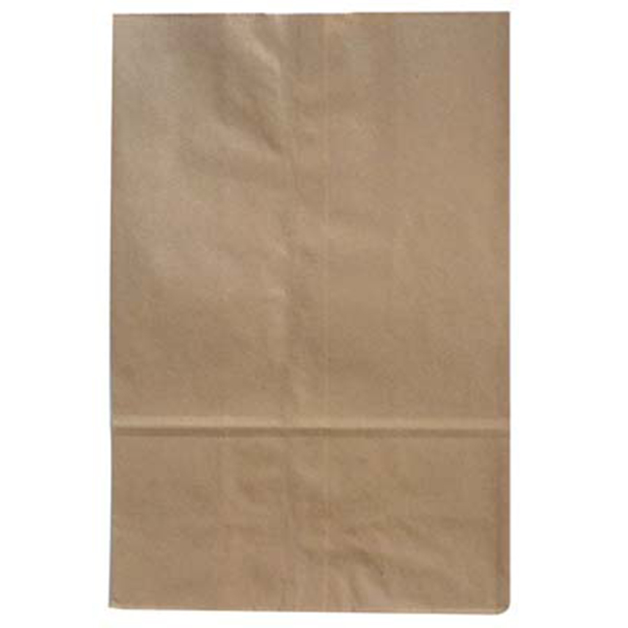 DAISY PAPER BAG 500 CT SIZE 6