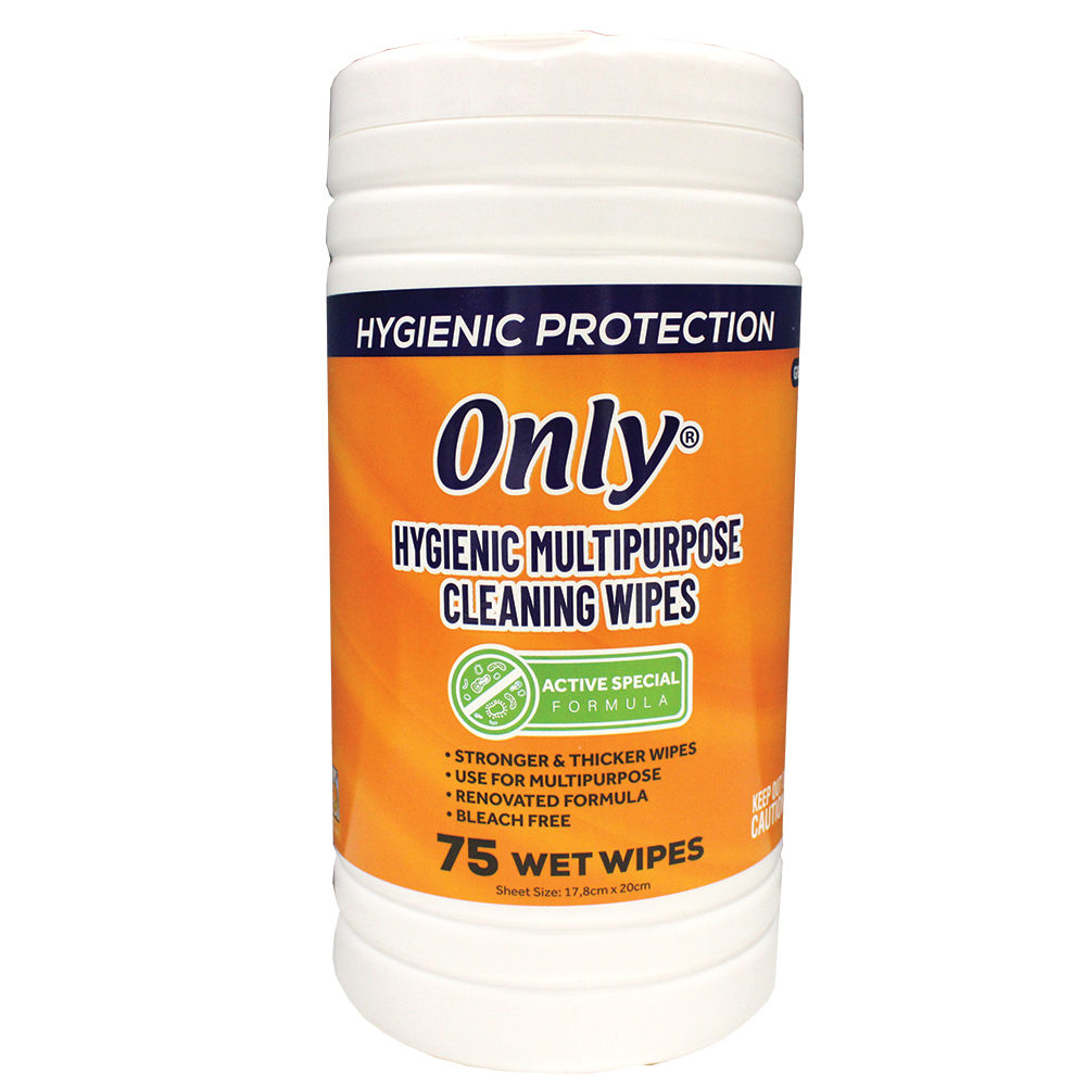 DISINFECTING WIPES 75 CT ONLY WET