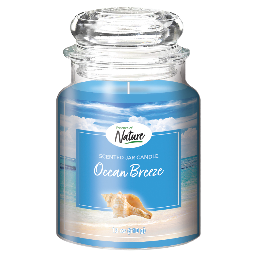 ESSENCE OF NATURE 18 OZ CANDLE IN JAR WITH DOM LID OCEAN BREEZE
