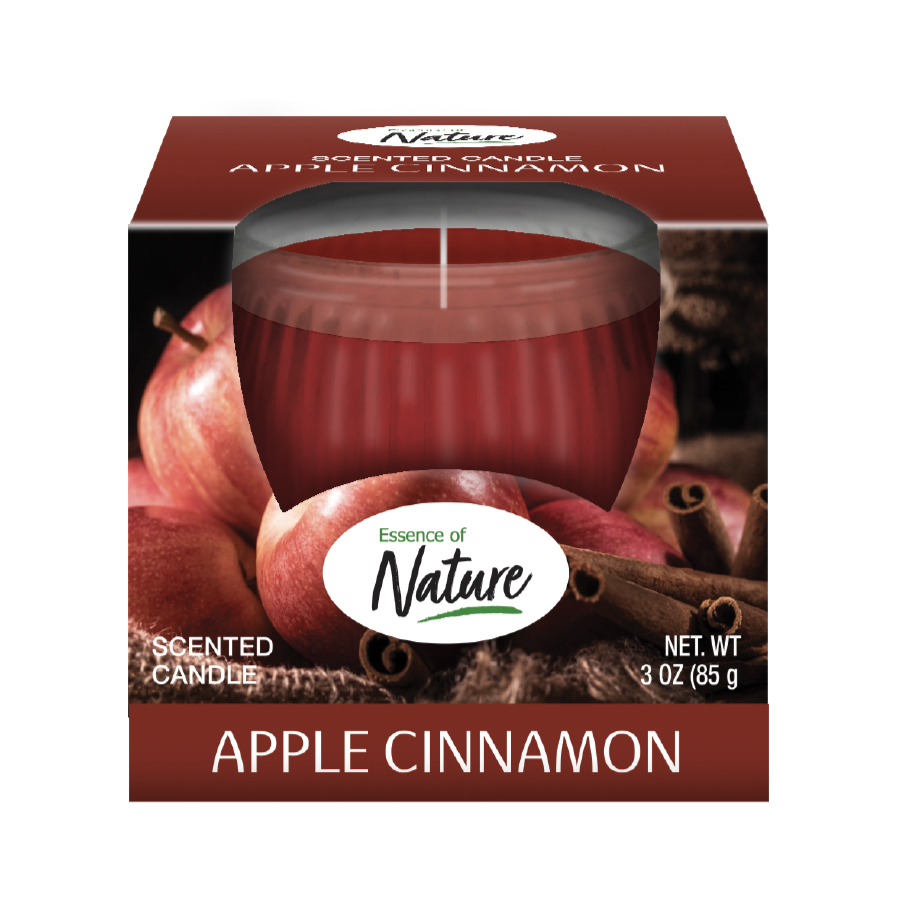 ESSENCE OF NATURE 3 OZ SCENTED CANDLE APPLE CINNAMON
