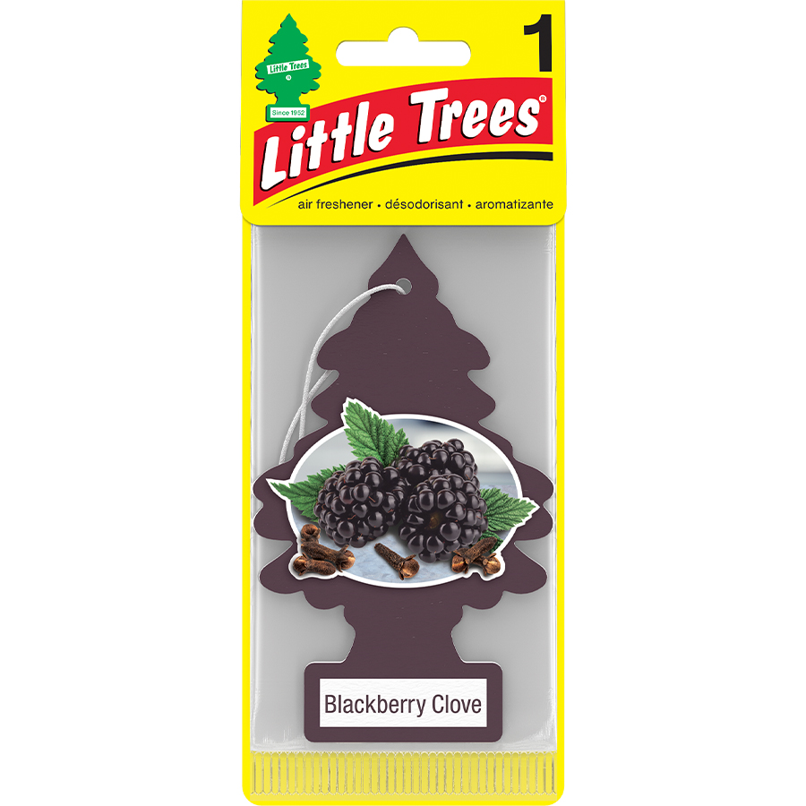LITTLE TREES CAR FRESHENER 1 CT BLACK BERRY CLOVE