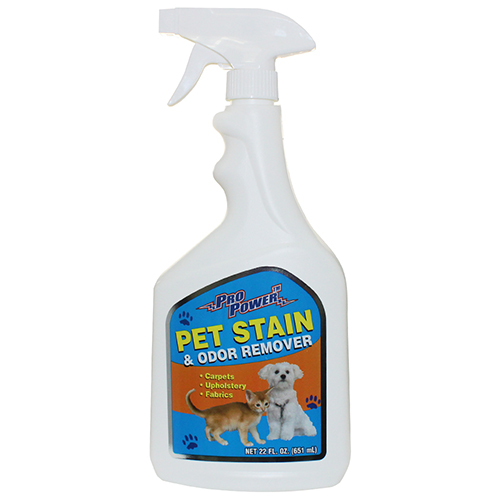 PRO POWER PET STAIN & ODOR REMVR SPRY 22 OZ WITH TRIGGER