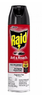 RAID ANT & ROACH KILLER 12 OZ FRAGRANCE FREE