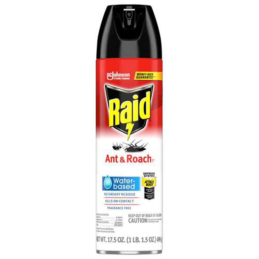 RAID ANT & ROACH KILLER 17.5 OZ FRAGRANCE FREE WATER BASED