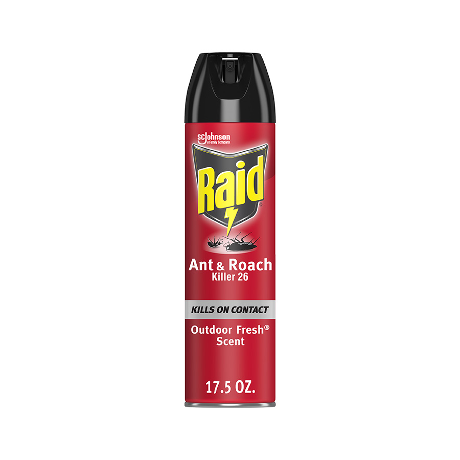 RAID ANT & ROACH KILLER 17.5 OZ OUTDOOR FRESH
